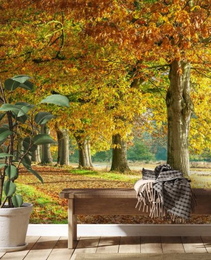 oranje en gele herfstbomen behang