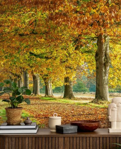 papel pintado de árboles de otoño naranja y amarillo papel pintado de árboles de otoño naranja y amarillo