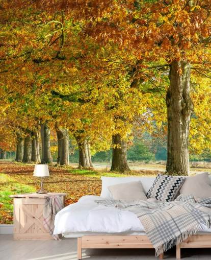 papel pintado de árboles de otoño naranja y amarillo papel pintado de árboles de otoño naranja y amarillo