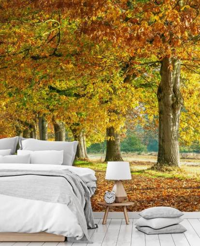 oranje en gele herfstbomen behang