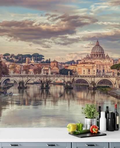 udsigt over st peters basilika fra floden tapet