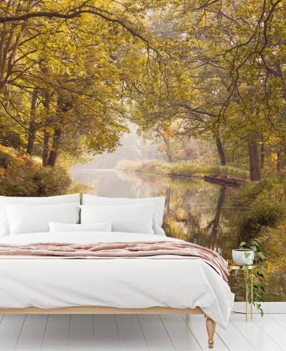 fall forest and canal wallpaper