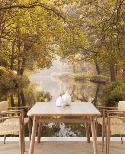 fall forest and canal wallpaper
