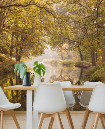 papel de parede de outono floresta e canal