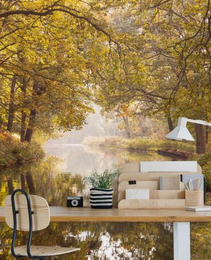 fond d'écran forêt et canal d'automne