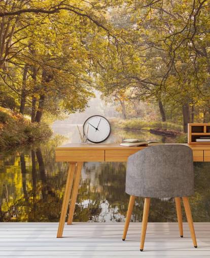 fall forest and canal wallpaper