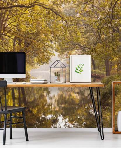 papel de parede de outono floresta e canal