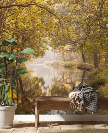 fall forest and canal wallpaper fall forest and canal wallpaper