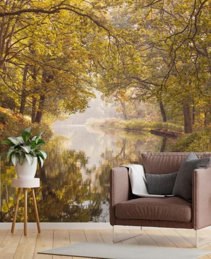 fond d'écran forêt et canal d'automne