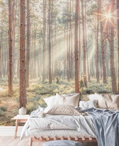 Bosque brumoso con rayos de sol