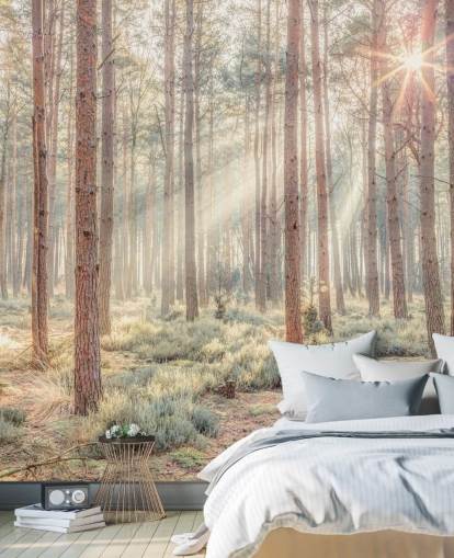 Bosque brumoso con rayos de sol