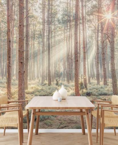 Misty Forest met zonnestralen