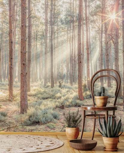 Forêt brumeuse avec des rayons de soleil