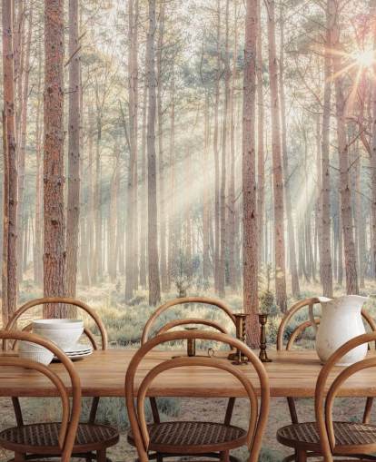 Floresta enevoada com raios solares