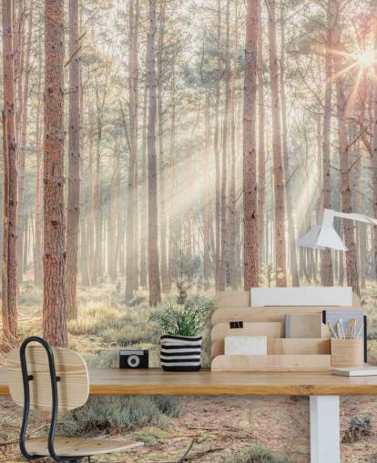 Foresta nebbiosa con raggi di sole