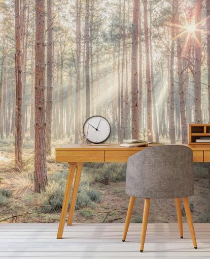 Misty Forest med solstrålar