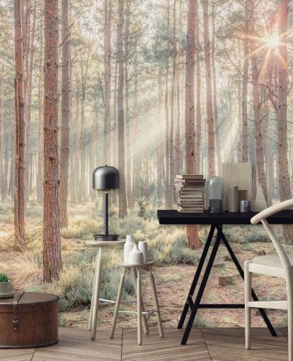 Tåget skov med solstråler