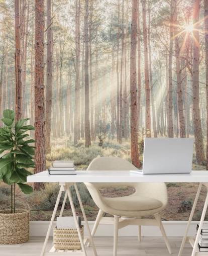 Nebliger Wald mit Sonnenstrahlen