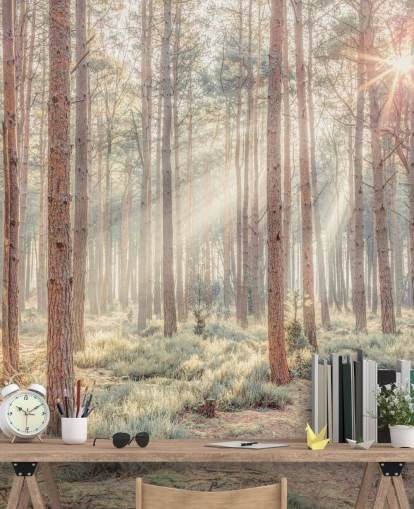 Nebliger Wald mit Sonnenstrahlen