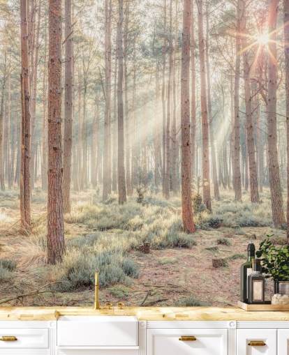 Bosque brumoso con rayos de sol