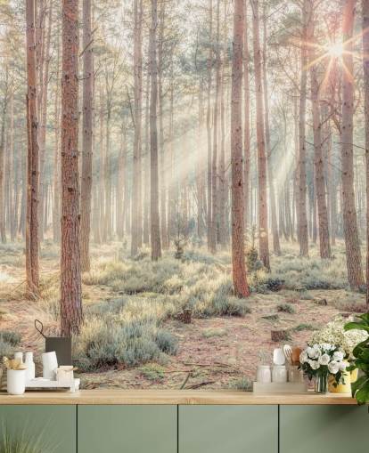 Nebliger Wald mit Sonnenstrahlen