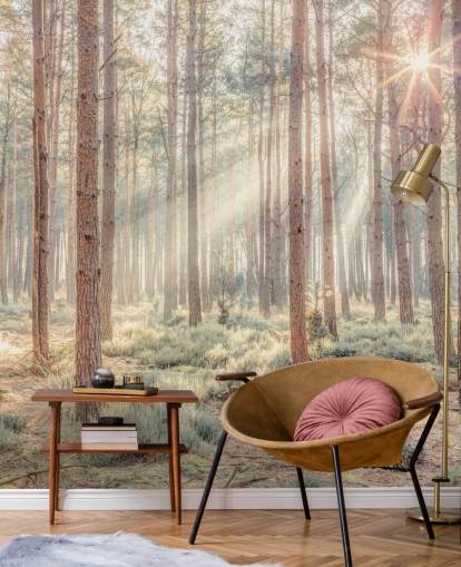 Forêt brumeuse avec des rayons de soleil Forêt brumeuse avec des rayons de soleil