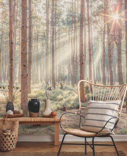 Tåkete skog med solstråler