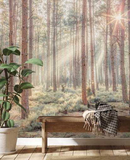 Misty Forest met zonnestralen