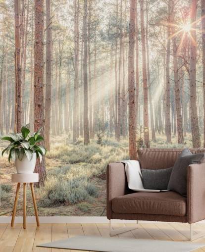 Misty Forest met zonnestralen