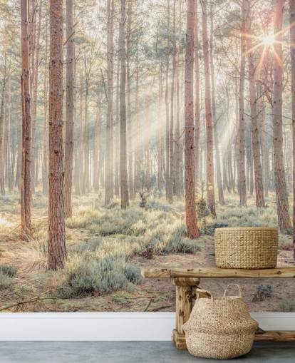 Nebliger Wald mit Sonnenstrahlen