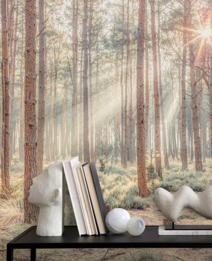 Misty Forest met zonnestralen Misty Forest met zonnestralen