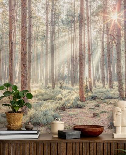 Bosque brumoso con rayos de sol