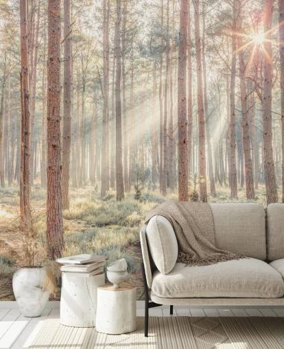 Forêt brumeuse avec des rayons de soleil Forêt brumeuse avec des rayons de soleil