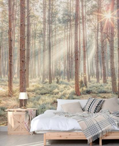 Misty Forest with Sunrays