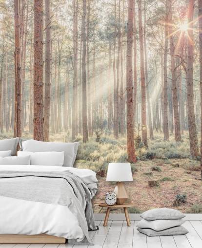 Bosque brumoso con rayos de sol