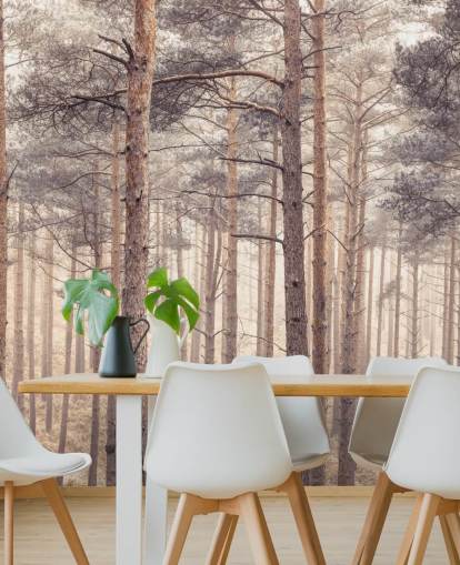 Foresta al crepuscolo