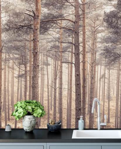 Forêt au crépuscule