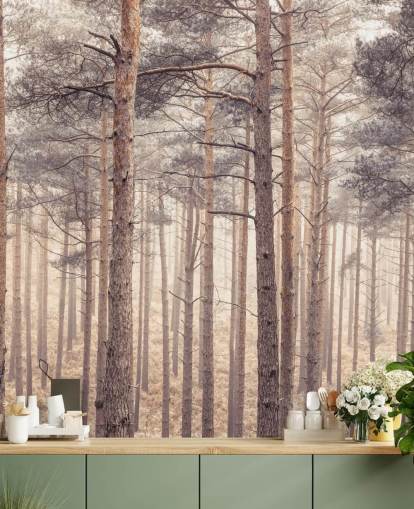 Foresta al crepuscolo