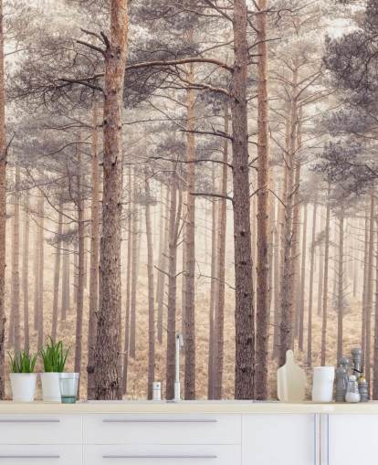 Foresta al crepuscolo