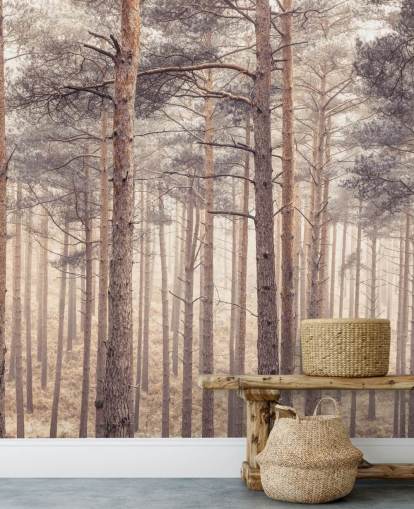 Foresta al crepuscolo