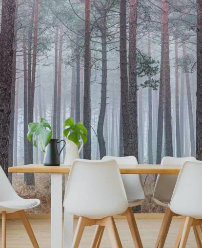 misty forest wallpaper misty forest wallpaper