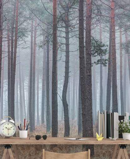 misty forest wallpaper misty forest wallpaper