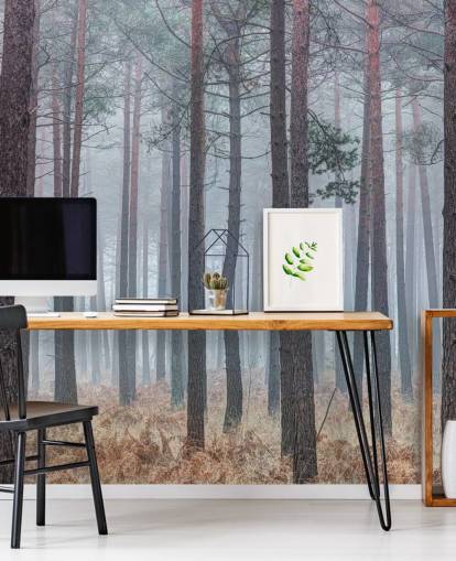 misty forest wallpaper misty forest wallpaper