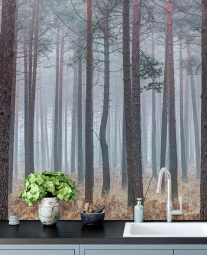 misty forest wallpaper