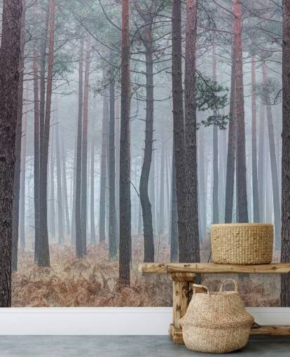 fondos de escritorio misty forest