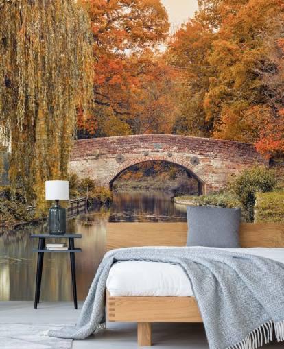 Canal through a forest