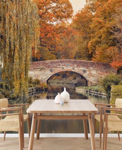 Canale attraverso una foresta