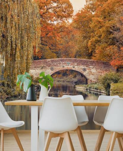 Canale attraverso una foresta