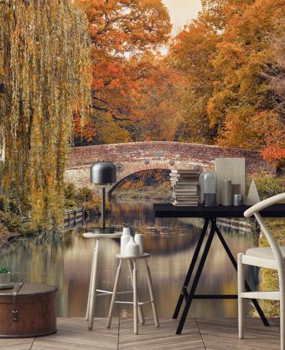 Canale attraverso una foresta