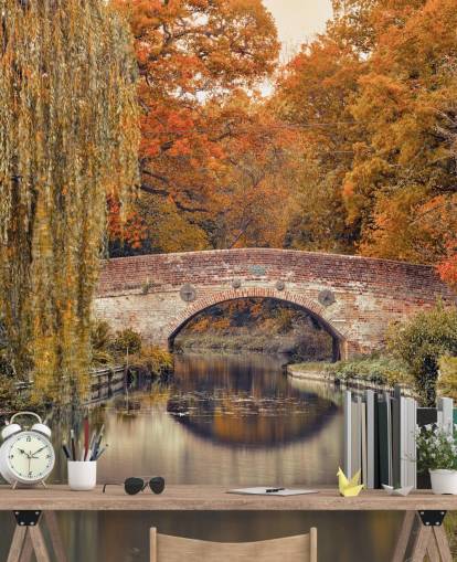 Canale attraverso una foresta